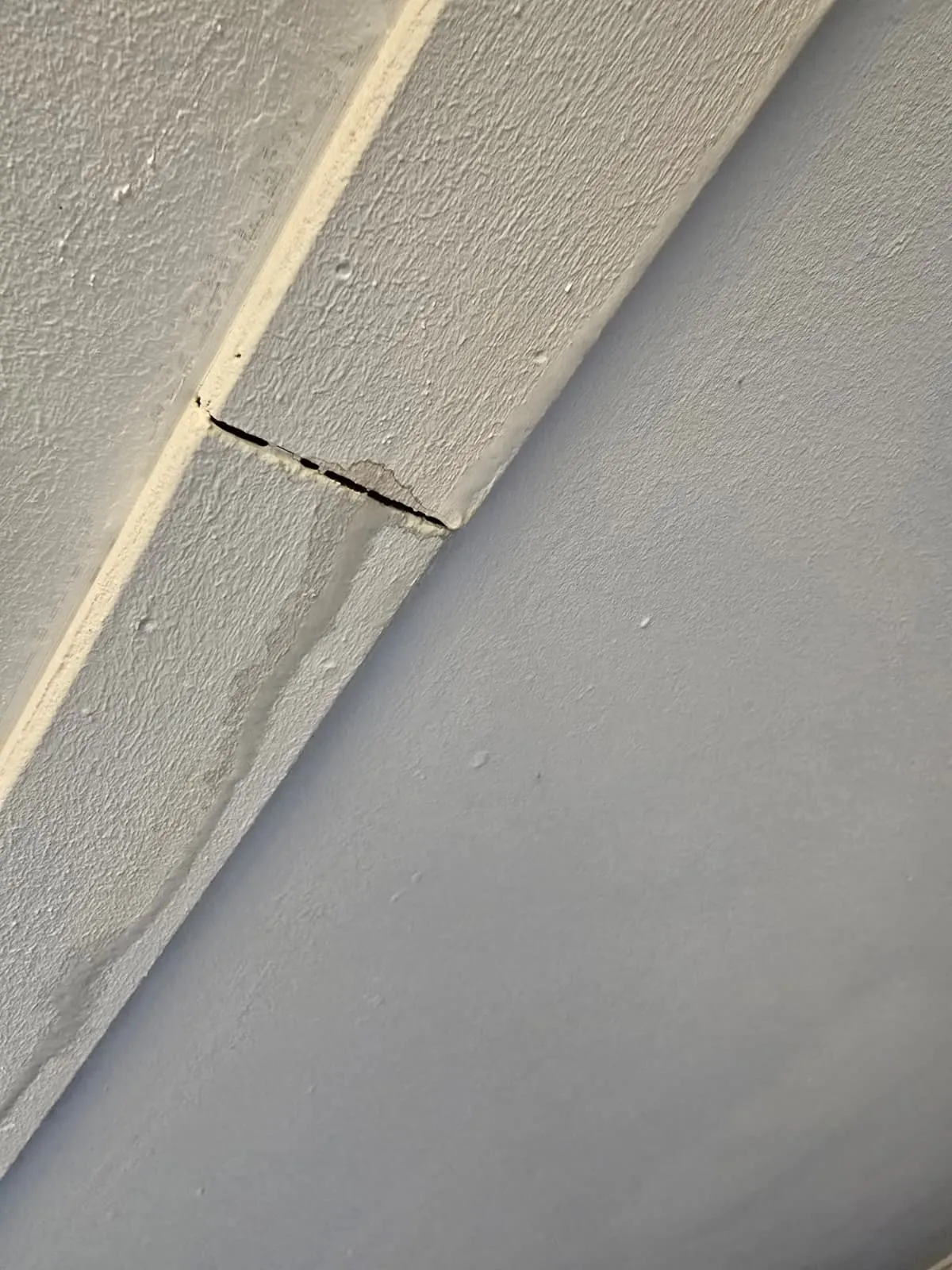 Vochtplek en scheur in plafond door lekkage in plat dak